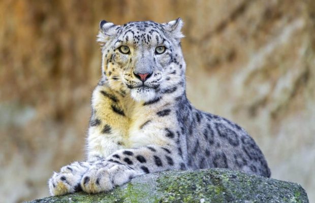 23 октября 2020 - какой сегодня праздник, приметы и именинники, что сегодня нельзя делать