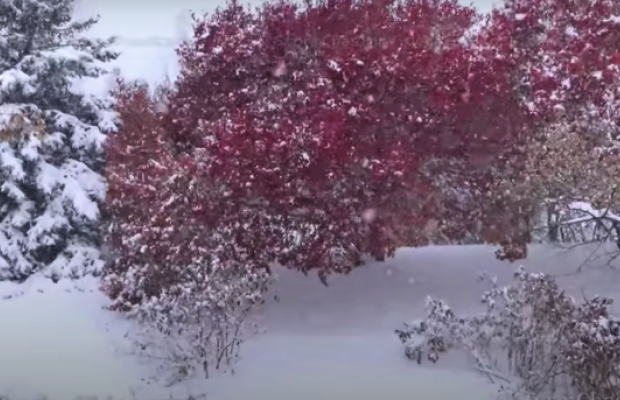 Північ США накрила зимова буря, випала рекордна кількість снігу (відео)