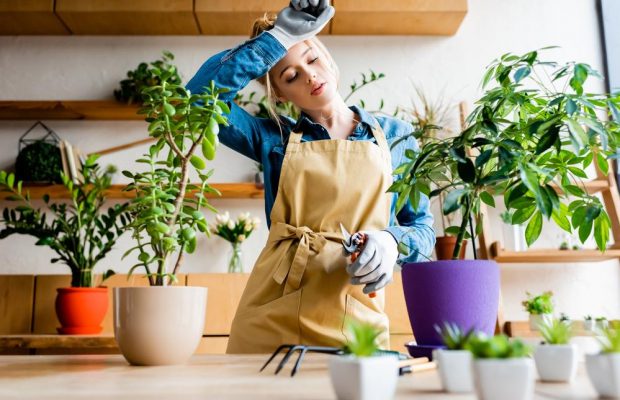 Місячний календар городника-садівника на листопад: коли і які роботи проводити в цьому місяці