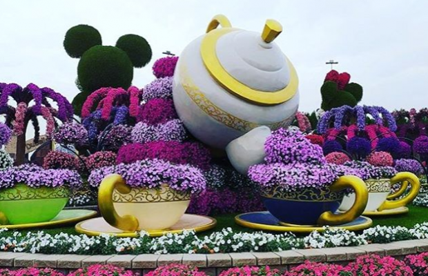 У Дубаї відновлює роботу одна з найпопулярніших туристичних локацій