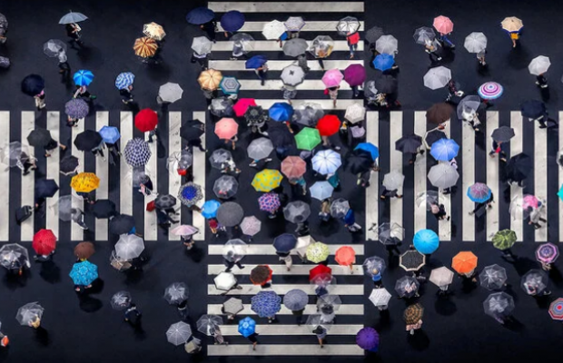 Мир с высоты птичьего полета: названы самые красивые снимки 2020 года с воздуха (фото)