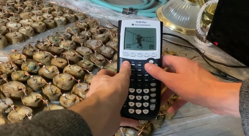 Шутер Doom запустили на калькуляторі, під'єднаному до картоплі (відео)