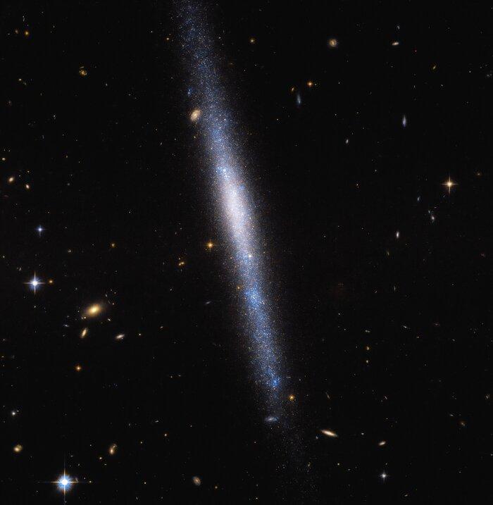 Галактика UGCA 193 знаходиться в сузір'ї Секстанта / фото ESA / Hubble & NASA, R. Tully Галактика UGCA 193 знаходиться в сузір'ї Секстанта / фото ESA / Hubble & NASA, R. Tully