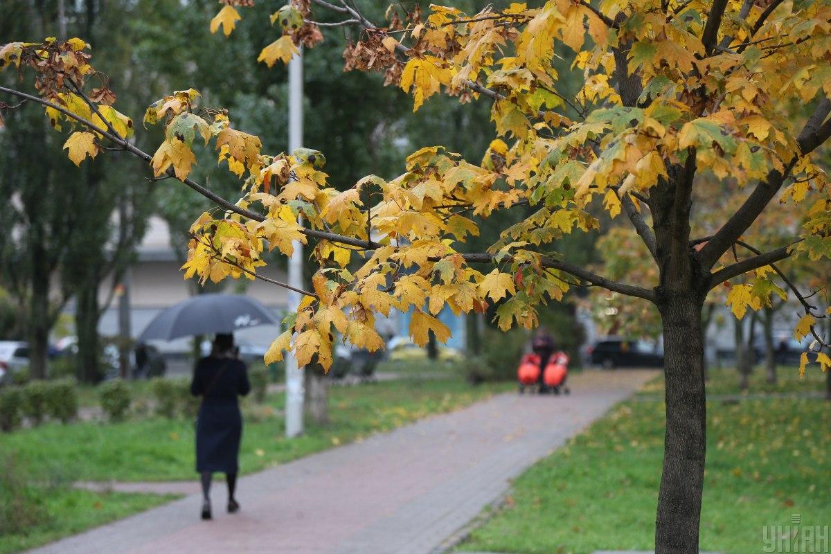 Похмура та мокра погода в Києві триває / фото УНІАН