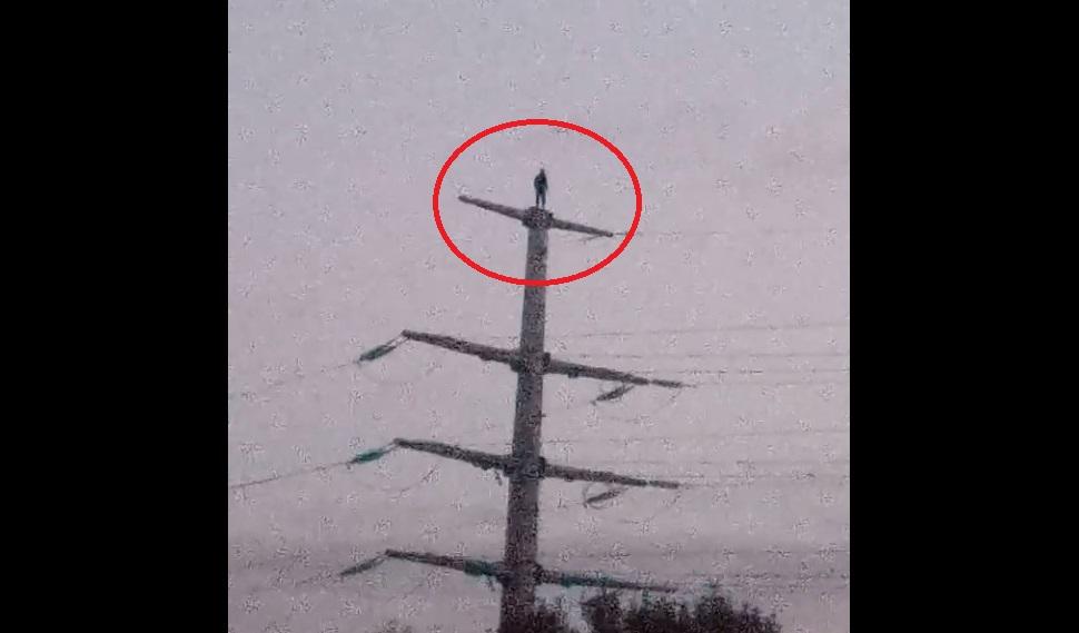 скріншот скріншот