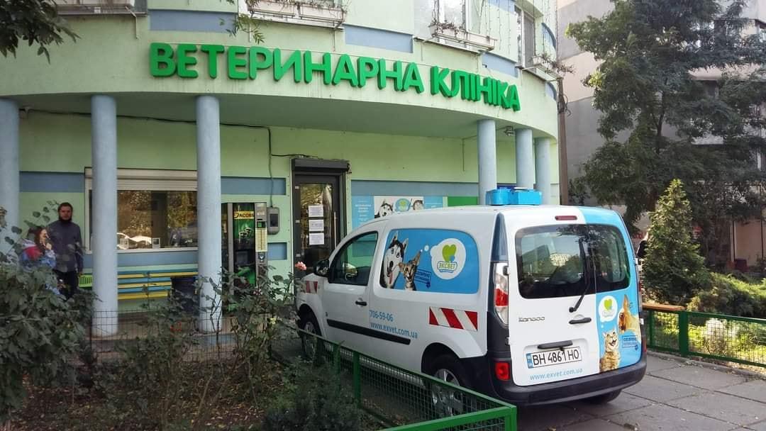 В Одессе выходили барсука, застрявшего в сентябре в оросительной системе (фото) В Одессе выходили барсука, застрявшего в сентябре в оросительной системе (фото)