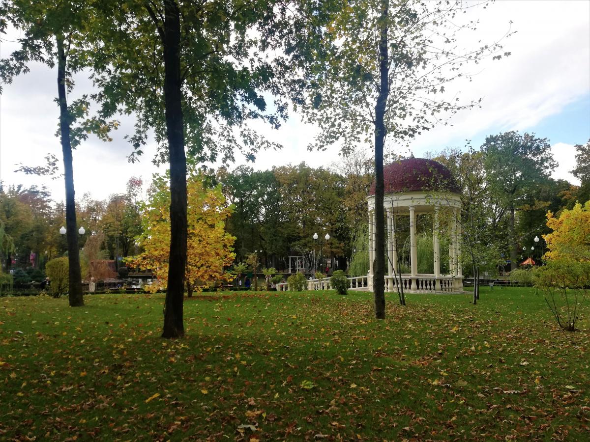 Сегодня утром в Харькове будет ветрено / фото Марина Григоренко