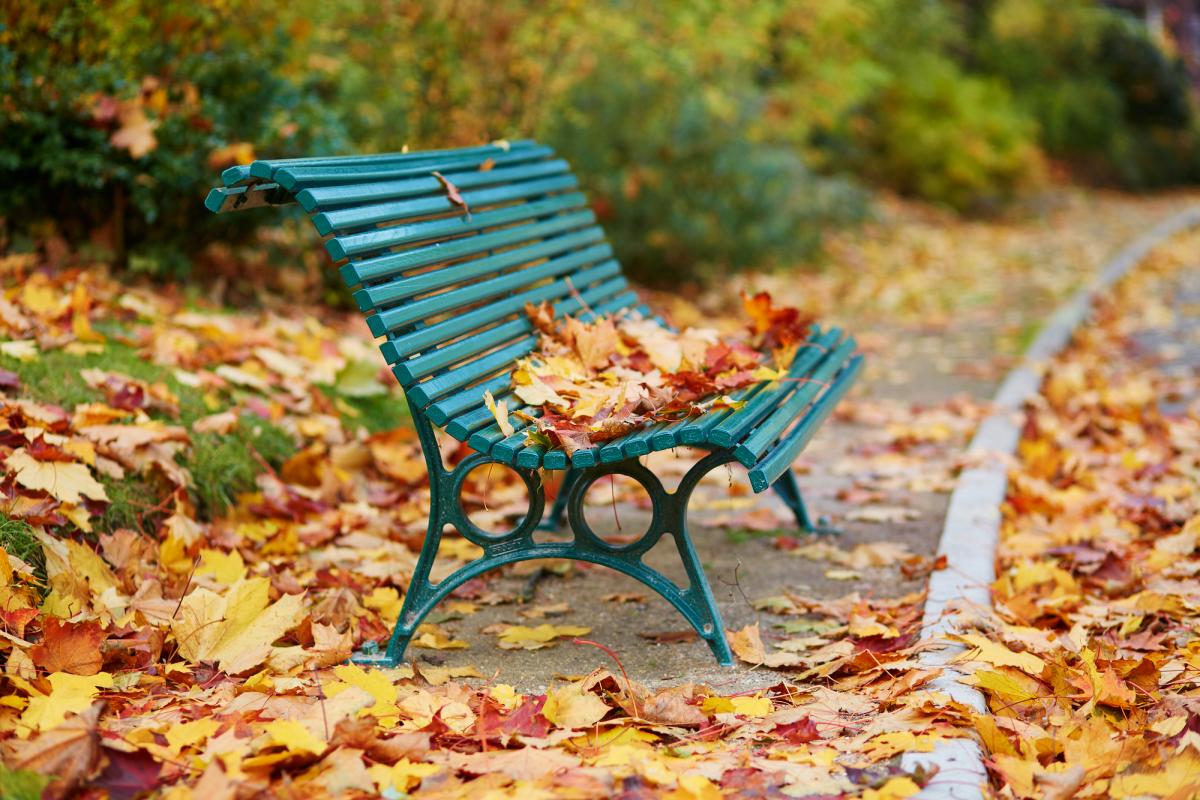 Погода на выходные / Фото ua.depositphotos.com Погода на выходные / Фото ua.depositphotos.com