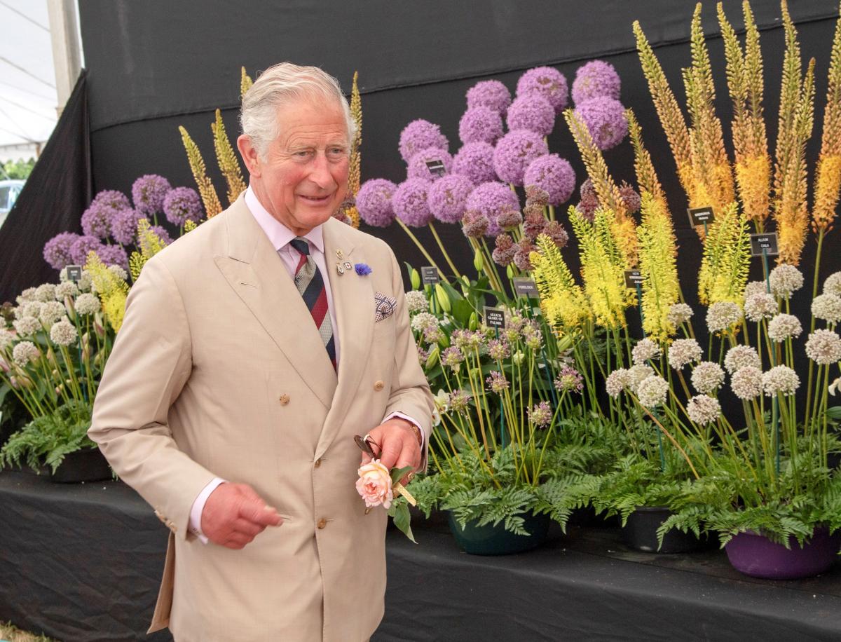 Чарльза официально объявляют британским королем \ фото REUTERS