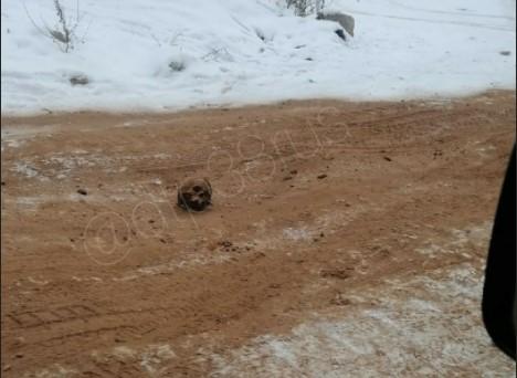 фото ДТП 38rus Іркутськ фото ДТП 38rus Іркутськ