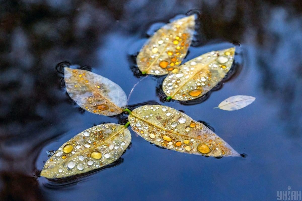 Уфото УНІАН