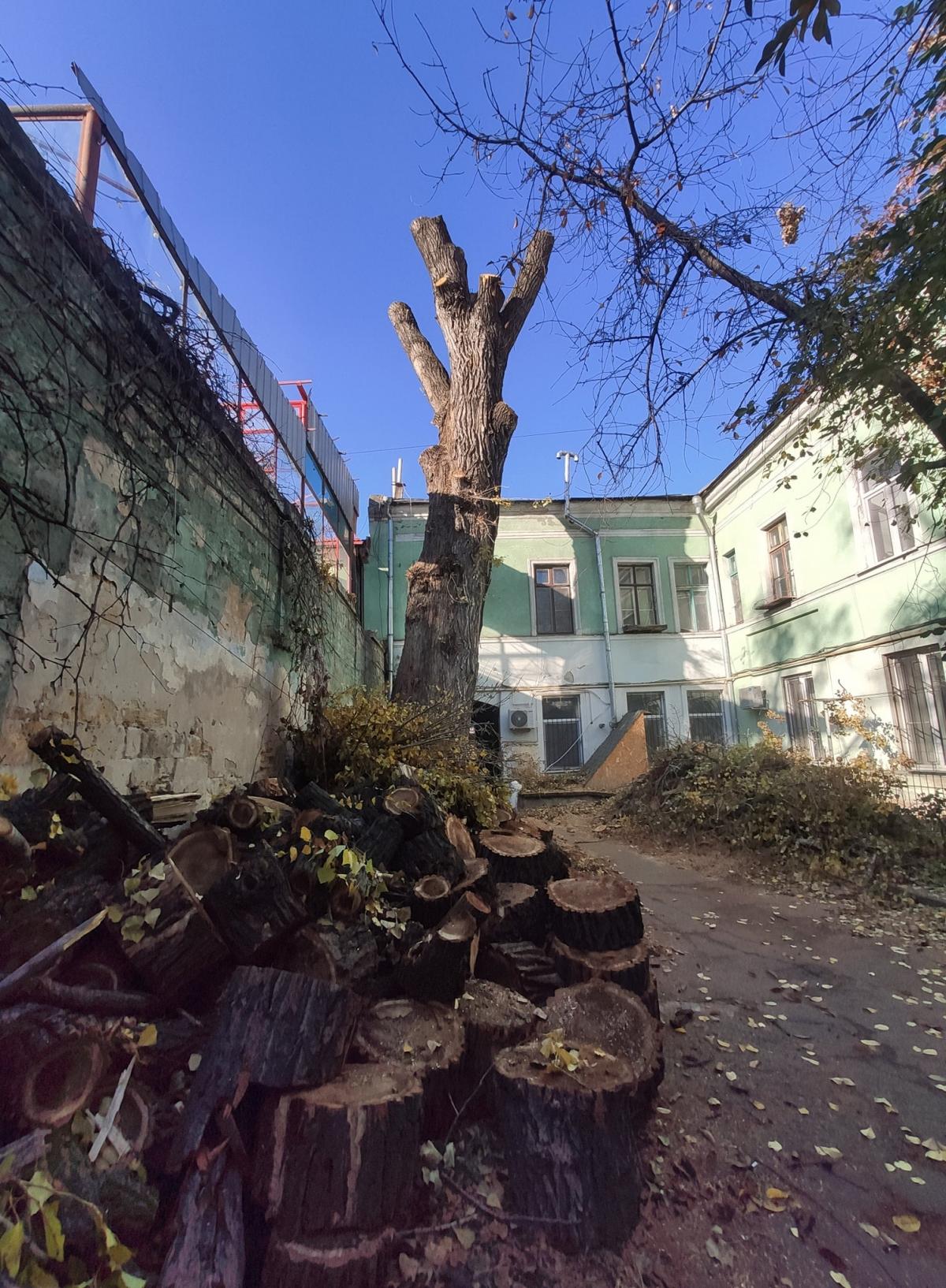 На знімку - спиляне дерево, від якого залишився практично один стовбур, а поруч шматки деревини/фото Бабич / Facebook