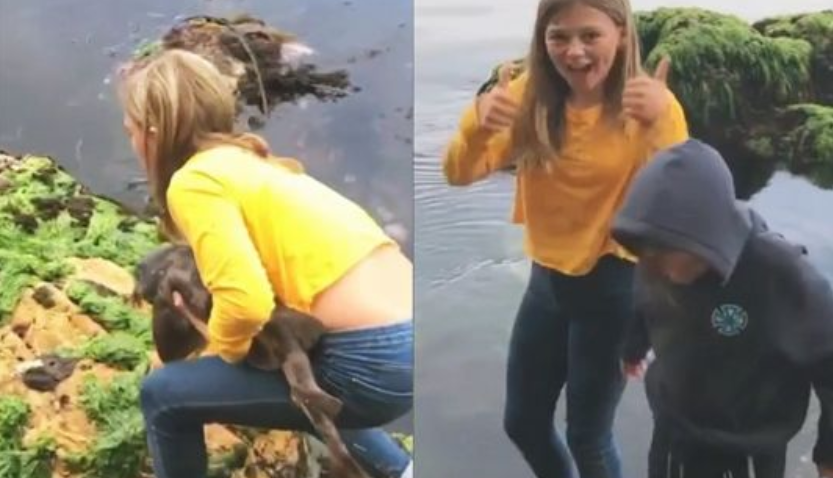 Девочка голыми руками спасла акулу / скриншот с видео Девочка голыми руками спасла акулу / скриншот с видео