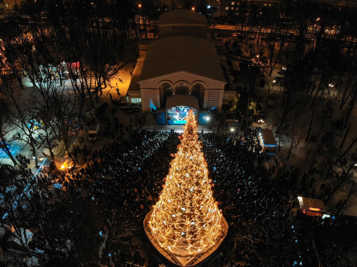 Ели в городе фото