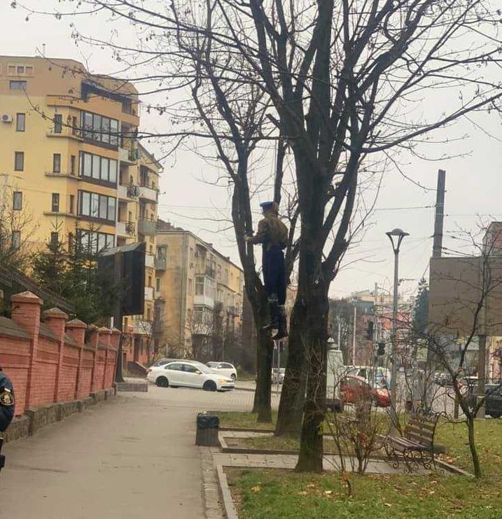 Львів’яни схвально сприймали дійство / фото Facebook Олени Живко Львів’яни схвально сприймали дійство / фото Facebook Олени Живко