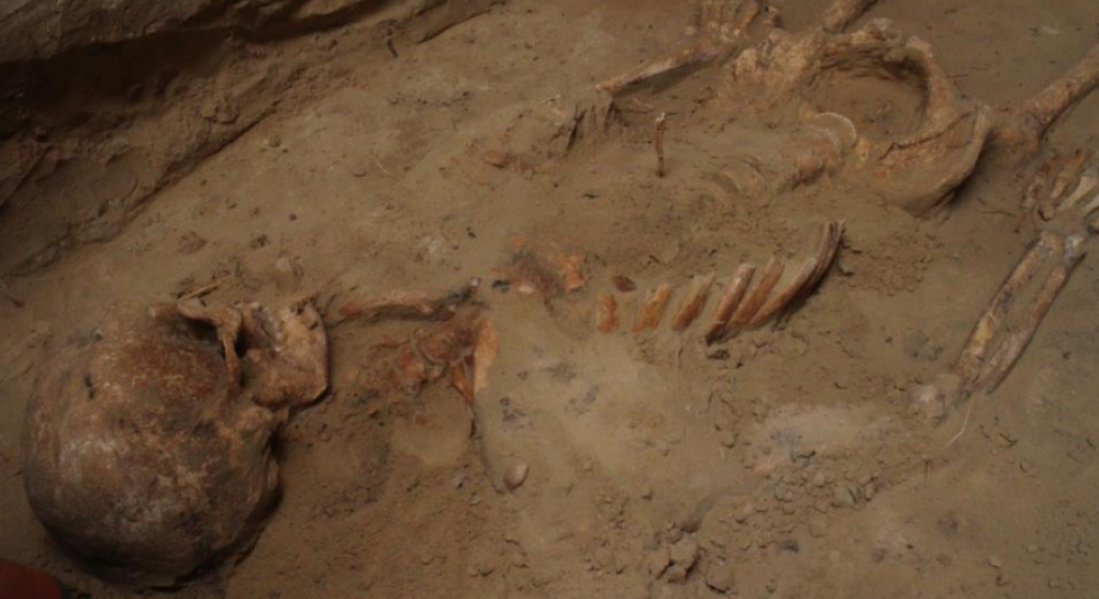 На Хортиці археологи розкопали стародавнє поховання скіфського воїна-гіганта  - фоторепортаж — новини — УНІАН