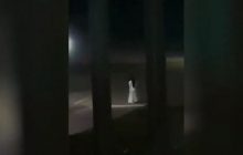 В Квебеке мужчина в костюме устроил уличную резню на Хэллоуин: двое погибших, пятеро раненых (видео)