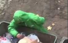 В Питере курьеры "собирали заказ" на помойке и попали на видео