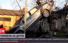 Автомобільне гніздування: на Львівщині машина після ДТП застрягла на дереві (відео)