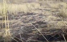 В поселках под оккупированной Горловкой горит почва - очевидцы (фоторепортаж)