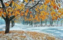 В Украине несколько городов засыпало первым снегом: завораживающие кадры
