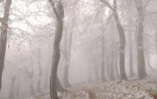 Сказочная зима в Карпатах: на вершинах лежит снег, горы утопают в тумане (фоторепортаж)