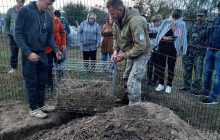 Ушла по-английски: от одесских экологов сбежала барсучиха, которую выхаживали в искусственной норе