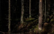 Ритуальна страта або мусульманська могила: у Росії знайшли тіло жінки, по шию закопане в землю