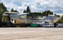 Стоїть без крил і хвоста: нардеп від СН заявив, що товари Епіцентру везла "друга" Мрія, але в мережі показали її актуальне фото
