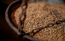 "Світовий голод" використовують як зброю: Єрмак озвучив кроки для розв'язання проблеми