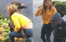 11-летняя девочка голыми руками спасла застрявшую в камнях акулу (видео)