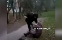 Таскала за волосы и повалила на землю: в Ривне засняли жестокую драку девочек-подростков (видео)