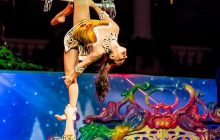 Cirque du Soleil продав бізнес своїм кредиторам, щоб уникнути банкрутства