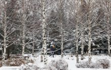 Зима в Украине начнется с похолодания и снега: прогноз погоды на неделю (карта)