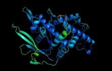 Искусственный интеллект решил научную проблему, над которой ученые ломали головы 50 лет