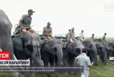 В індійському парку дикої природи відновили сафарі зі слонами