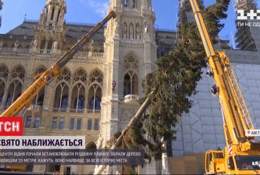 У центрі Відня встановили найвищу за усю історію міста новорічну ялинку