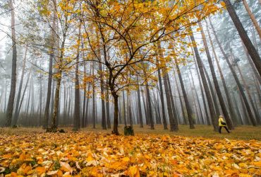 13 октября: какой сегодня народный праздник, приметы погоды и запреты