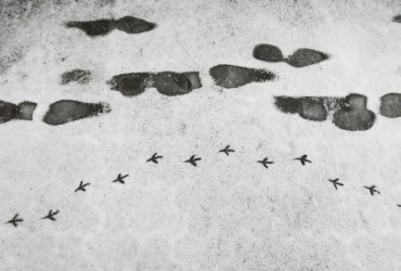 Погоду в Україні зіпсує активний балтійський циклон - синоптик