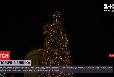 Із шишками і фотокамерами: якою буде головна ялинка країни