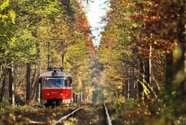 Літо триває: сьогодні на киян чекає теплий сонячний день