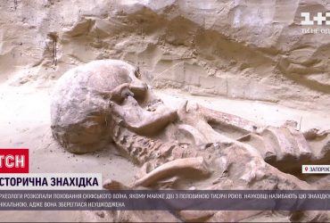 У Запоріжжі археологи віднайшли унікальну могилу скіфа-велетня