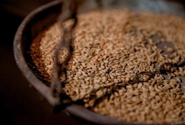 Світовий голод використовують як зброю: Єрмак озвучив кроки для розв'язання проблеми