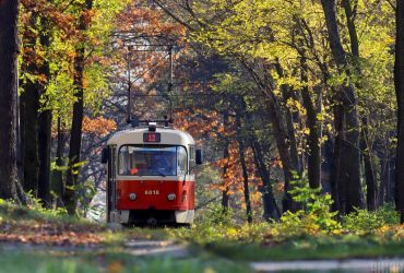 До +19°: на киян чекає прохолодний понеділок