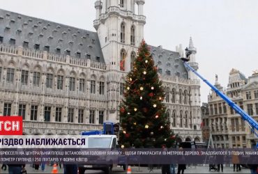 Різдво наближається: у великих містах Європи встановлюють головні ялинки