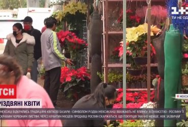 У Мексиці перед Різдвом відкрились традиційні квіткові базари