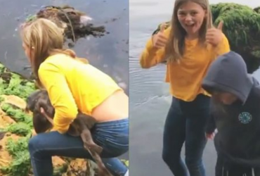 11-річна дівчинка голими руками врятувала застряглу в каменях акулу (відео)