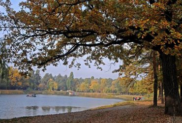 У Києві набагато раніше за норму настала метеорологічна осінь