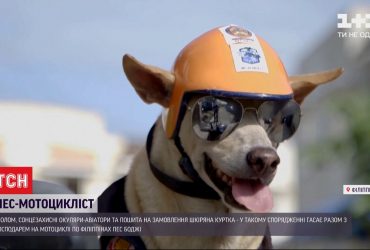 На Філіппінах популярним став собака, який їздить на мотоциклі разом зі своїм господарем