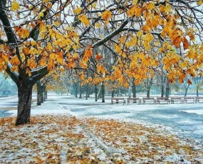 Первый снег - В Украине несколько городов засыпало первым снегом — УНИАН